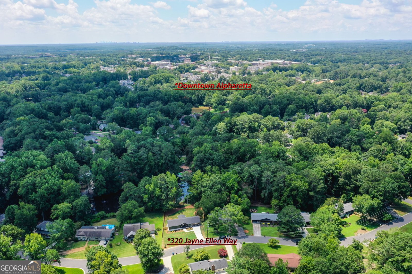 320 Jayne Ellen Way Alpharetta - 68