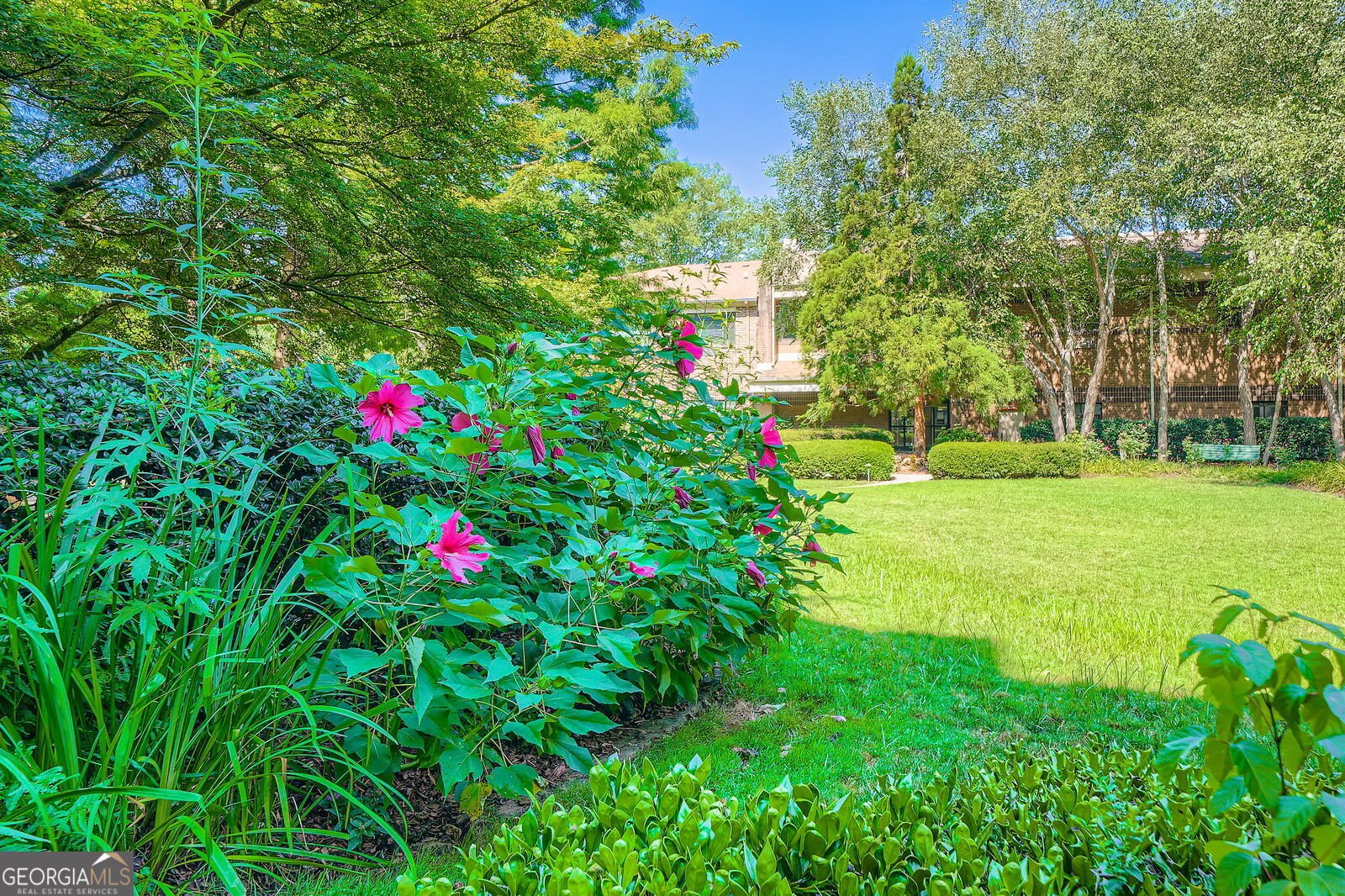 1800 Clairmont Lake Decatur - 49