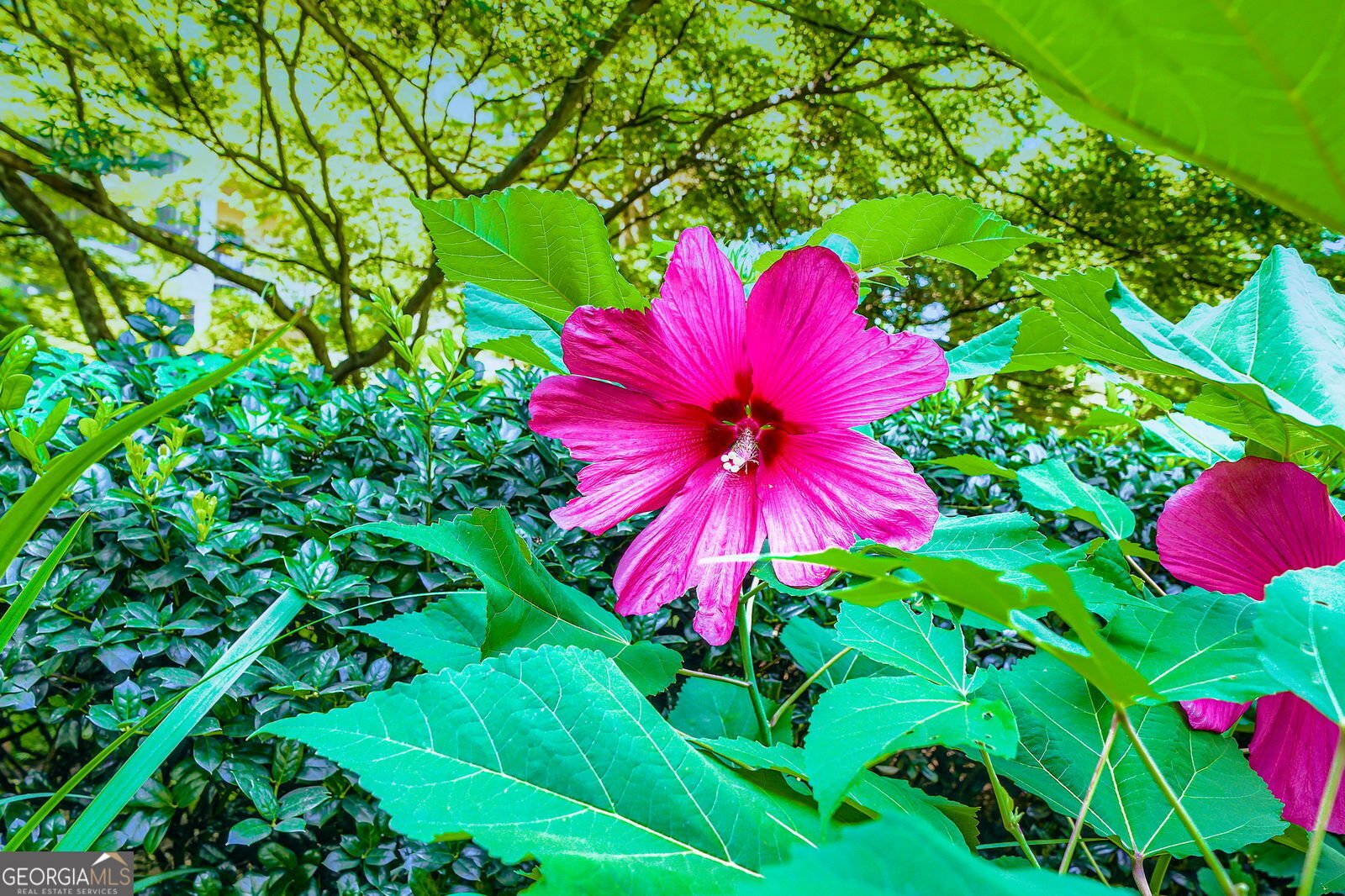 1800 Clairmont Lake Decatur - 50