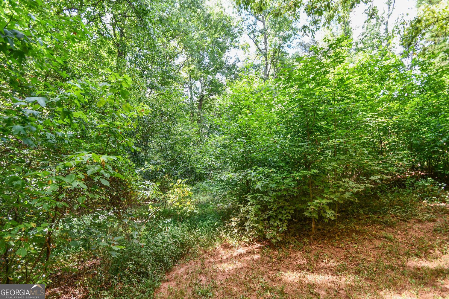 2427 Candler Road Gainesville - 10