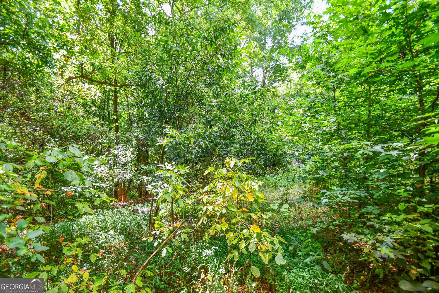 2427 Candler Road Gainesville - 11