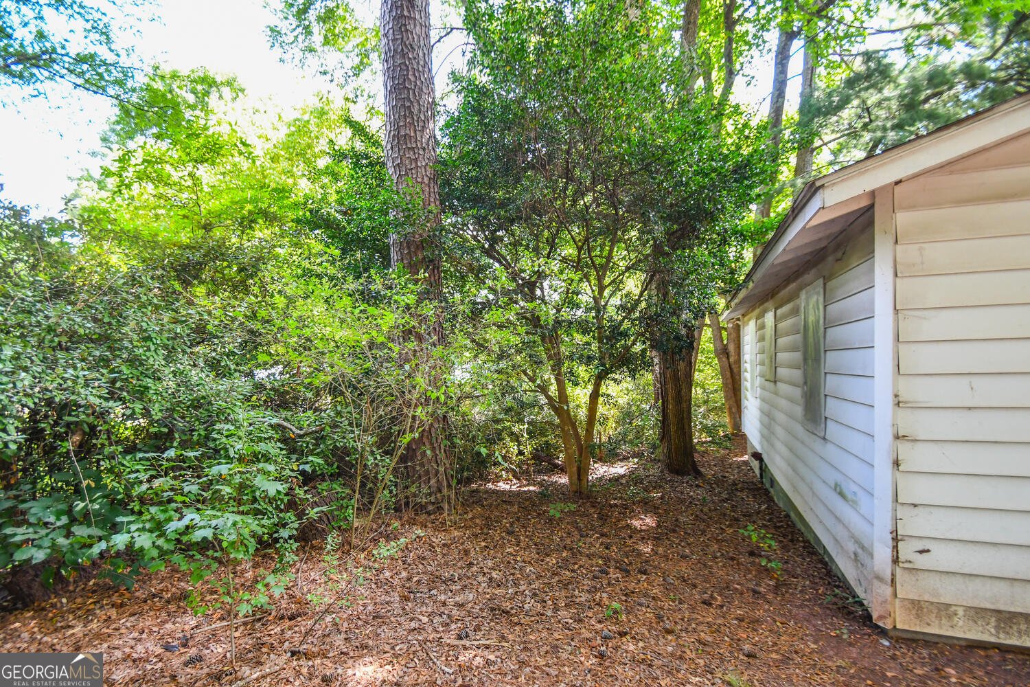 2427 Candler Road Gainesville - 45