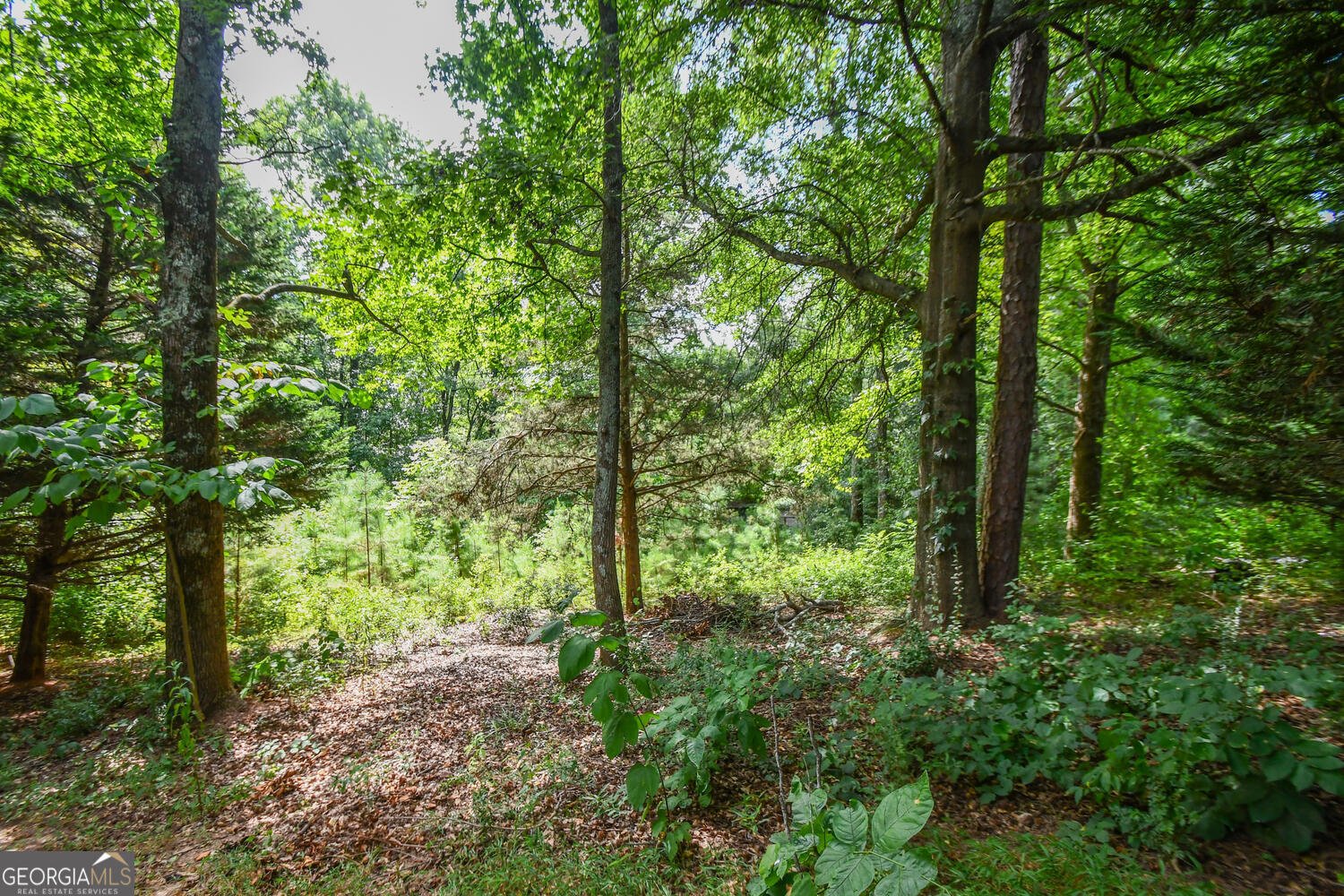 2427 Candler Road Gainesville - 51