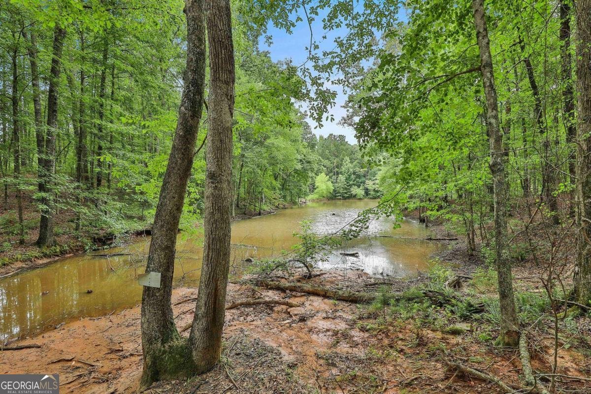 279 Doc Perry Road Newnan - 24