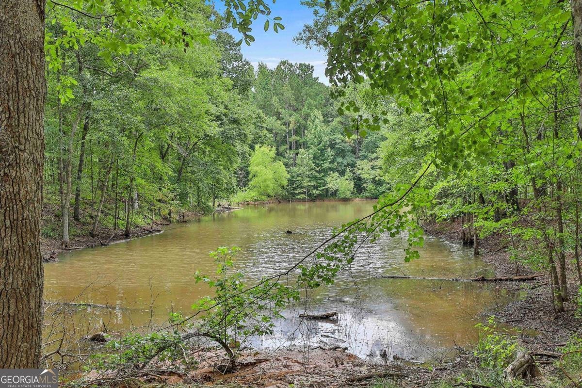 279 Doc Perry Road Newnan - 25