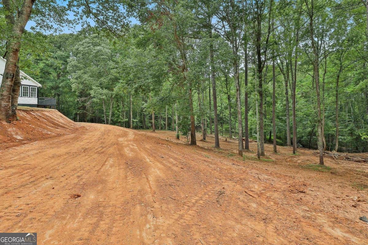 279 Doc Perry Road Newnan - 26