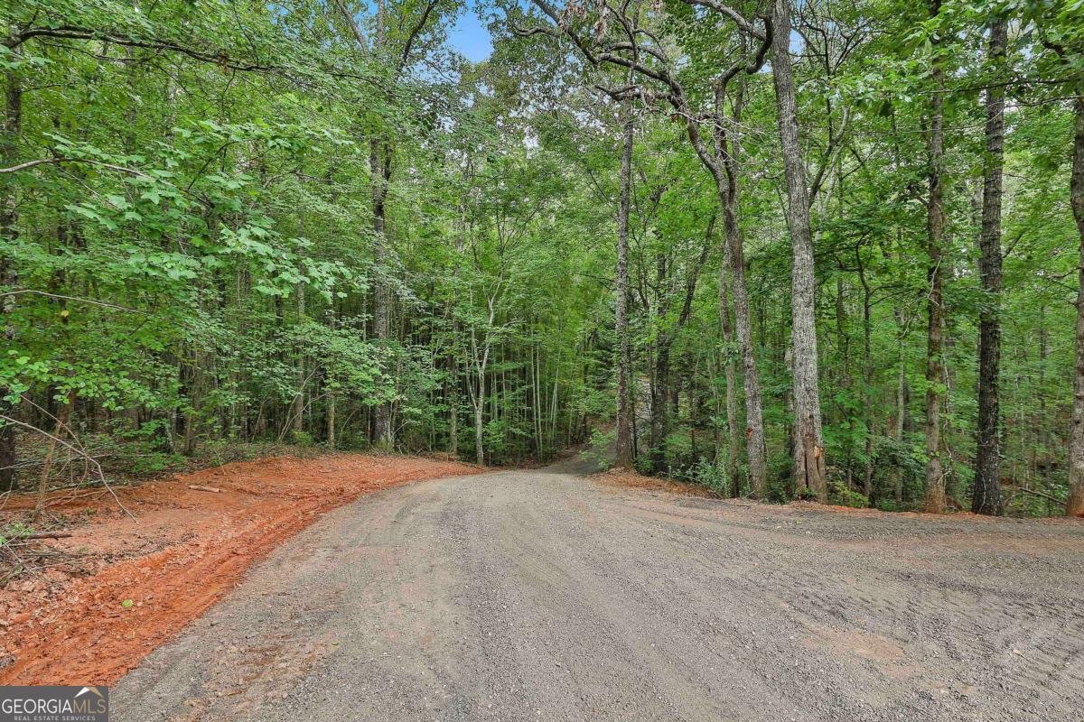 279 Doc Perry Road Newnan - 28
