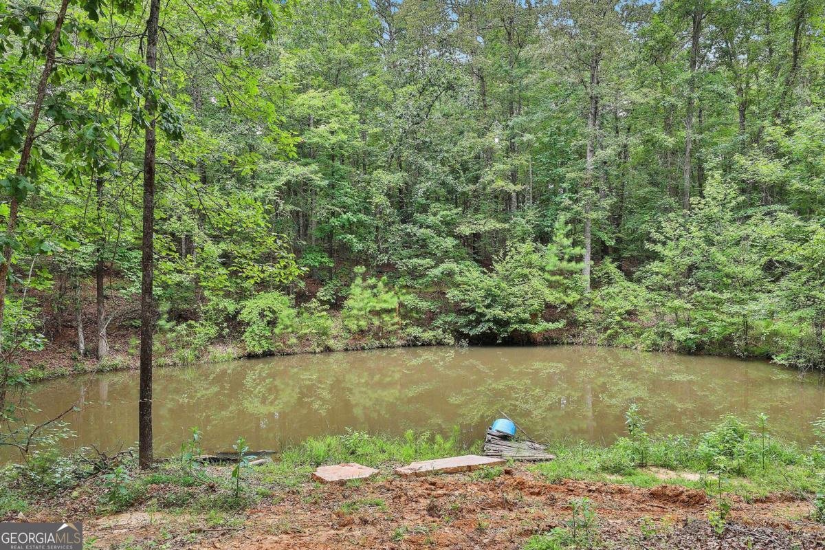 279 Doc Perry Road Newnan - 54