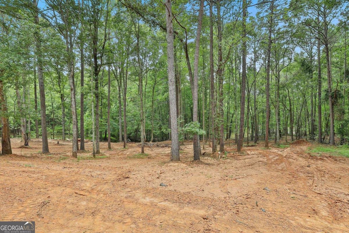 279 Doc Perry Road Newnan - 59