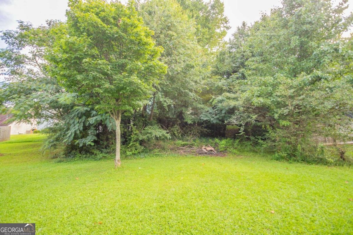 3633 Emerald Point Decatur - 29
