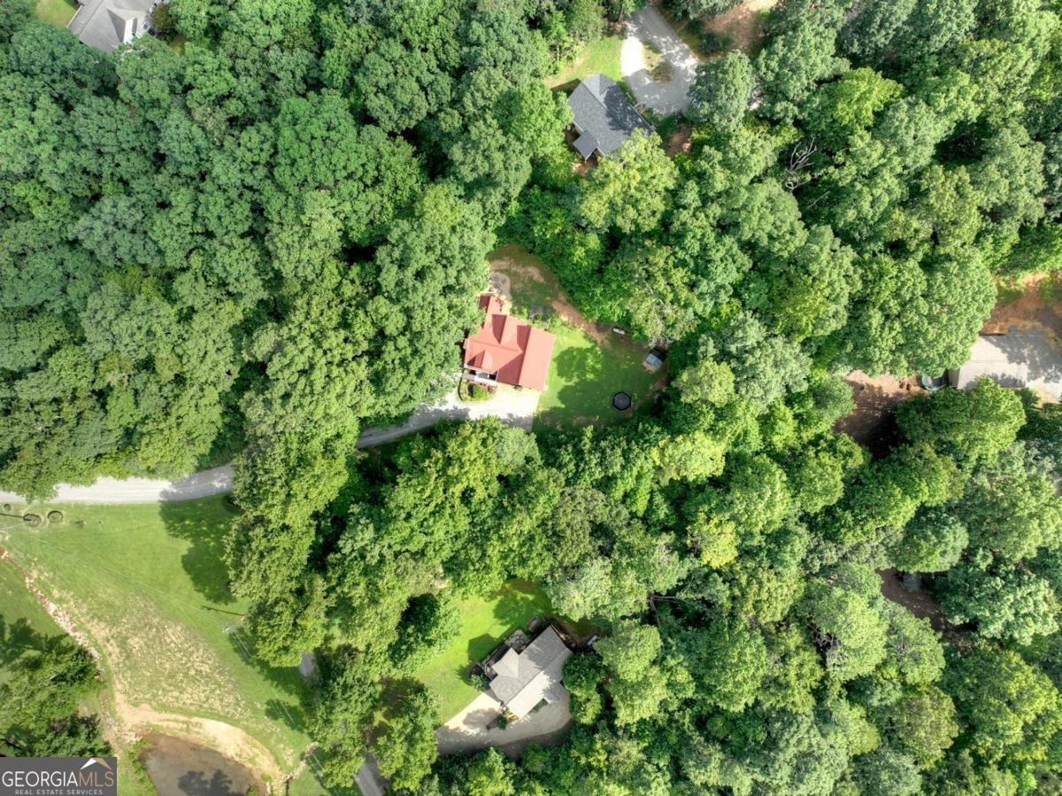145 Walnut Ridge Lane Ellijay - 39