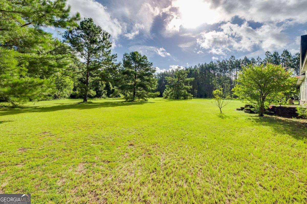 4016 Clyo Kildare Road Clyo - 39