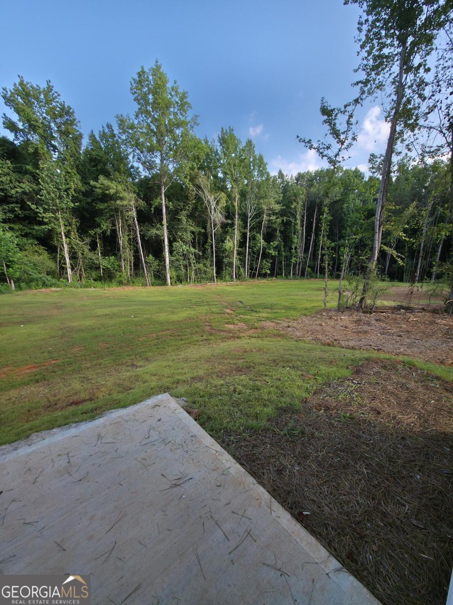 245 Freeman Drive Athens - 17