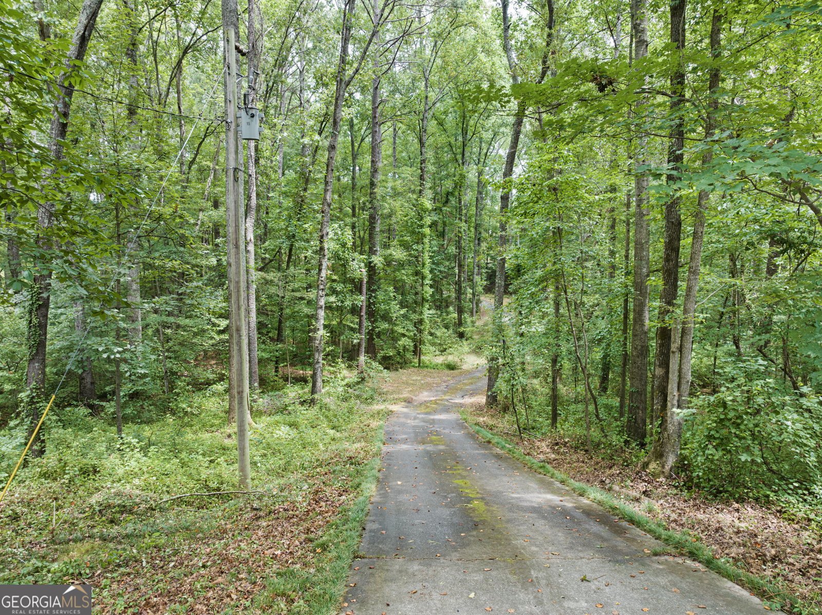 4570 Meadows Road Powder Springs - 4