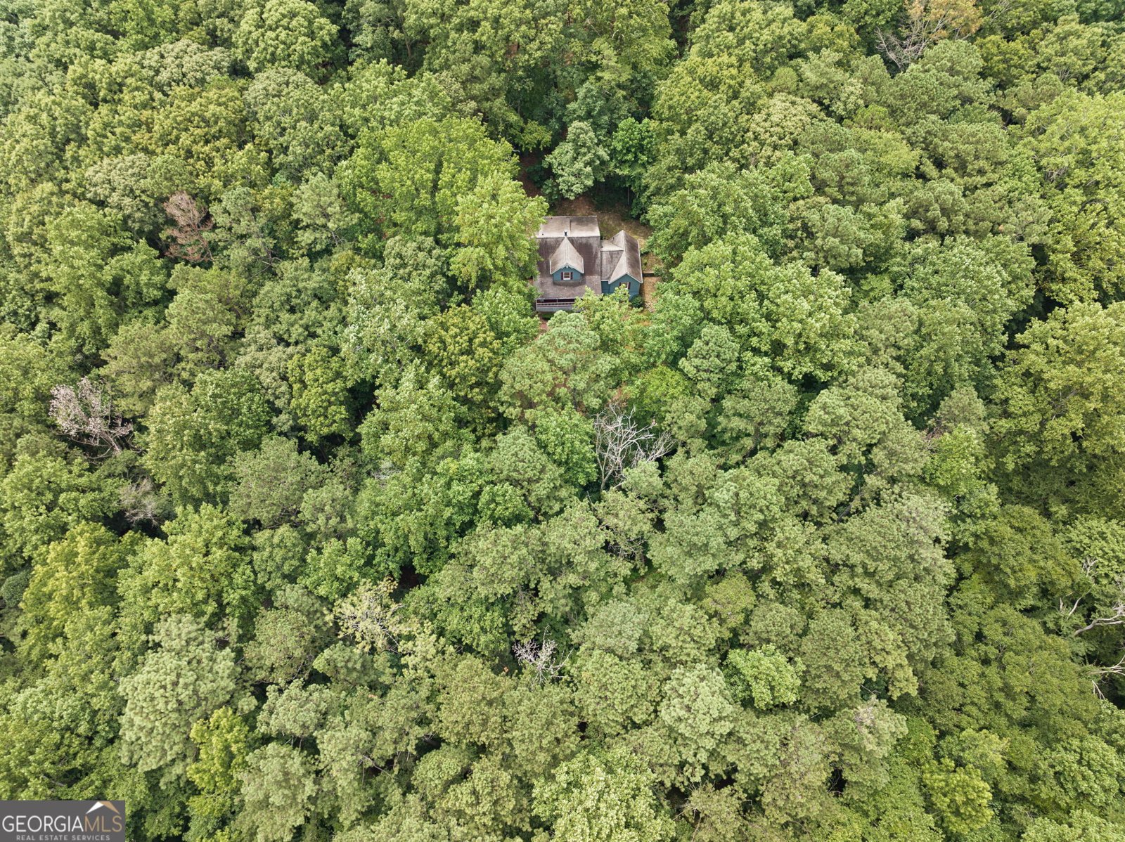 4570 Meadows Road Powder Springs - 42