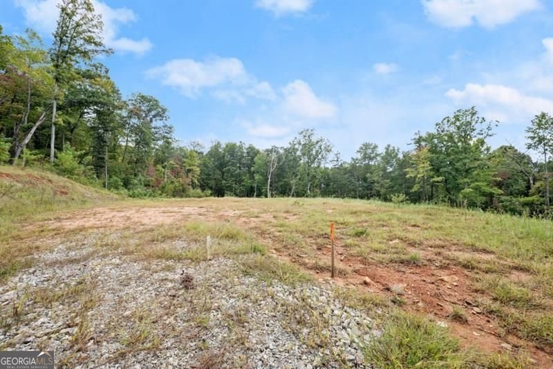 144 David Drive Tiger - 38