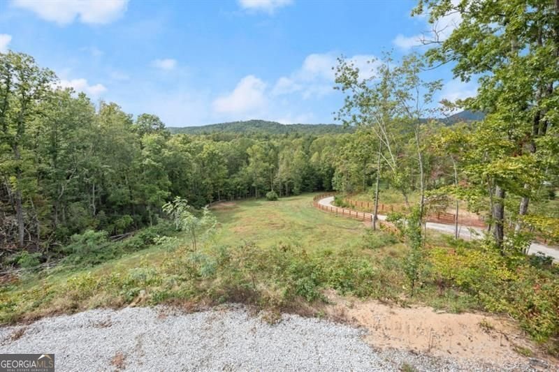 144 David Drive Tiger - 46