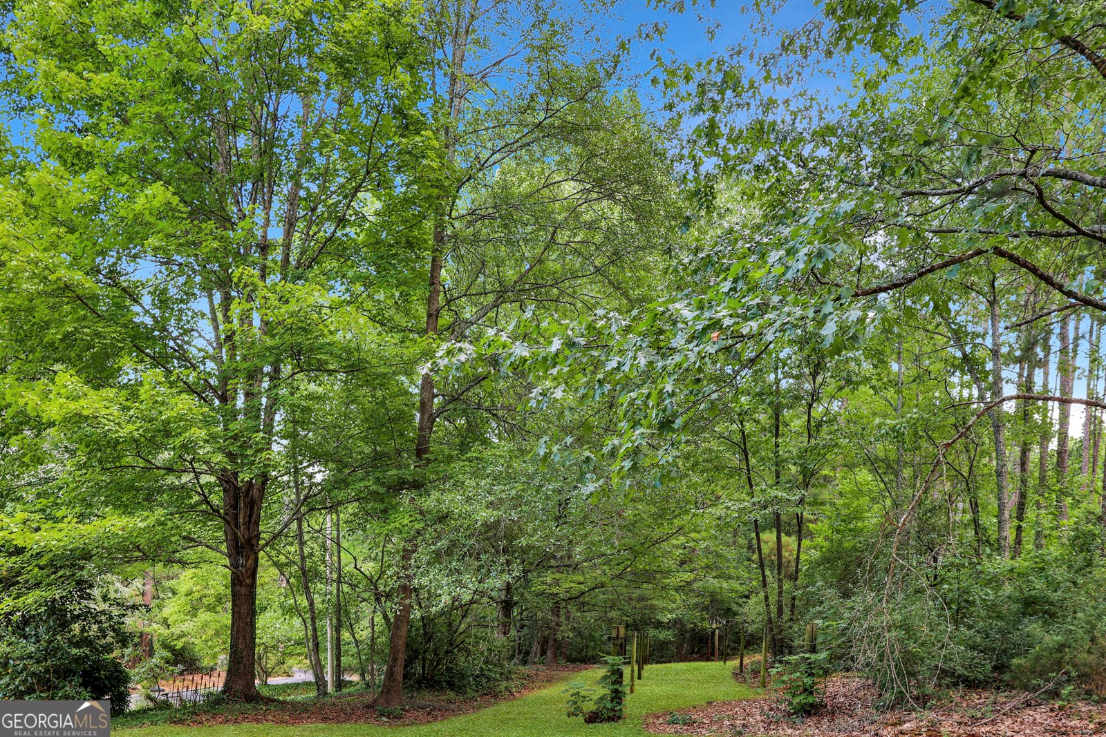 155 Green Hills Road Athens - 13