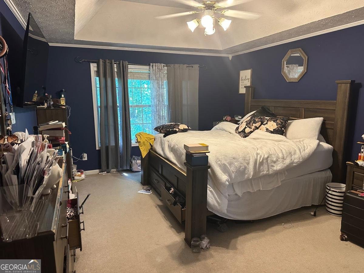 4053 STAGHORN Court Douglasville - 14