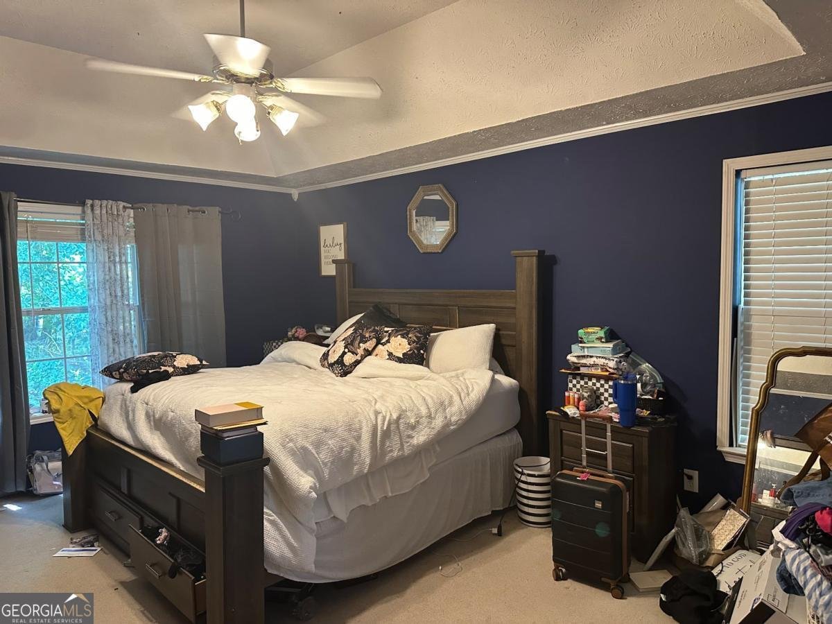 4053 STAGHORN Court Douglasville - 15