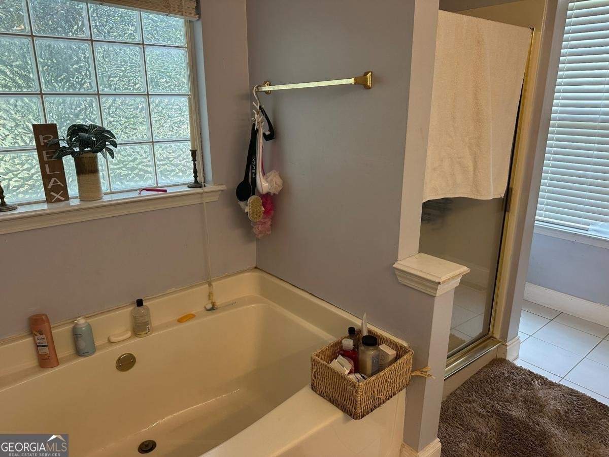 4053 STAGHORN Court Douglasville - 23