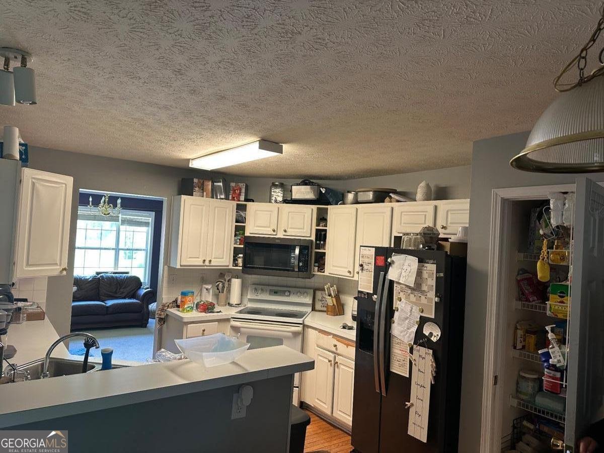 4053 STAGHORN Court Douglasville - 34