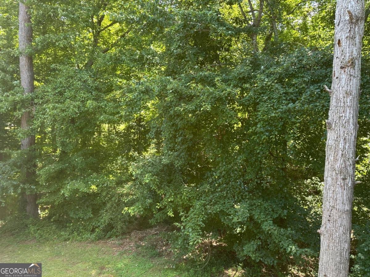 4053 STAGHORN Court Douglasville - 47