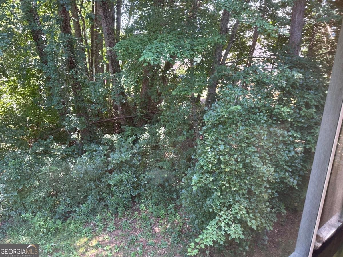 4053 STAGHORN Court Douglasville - 48