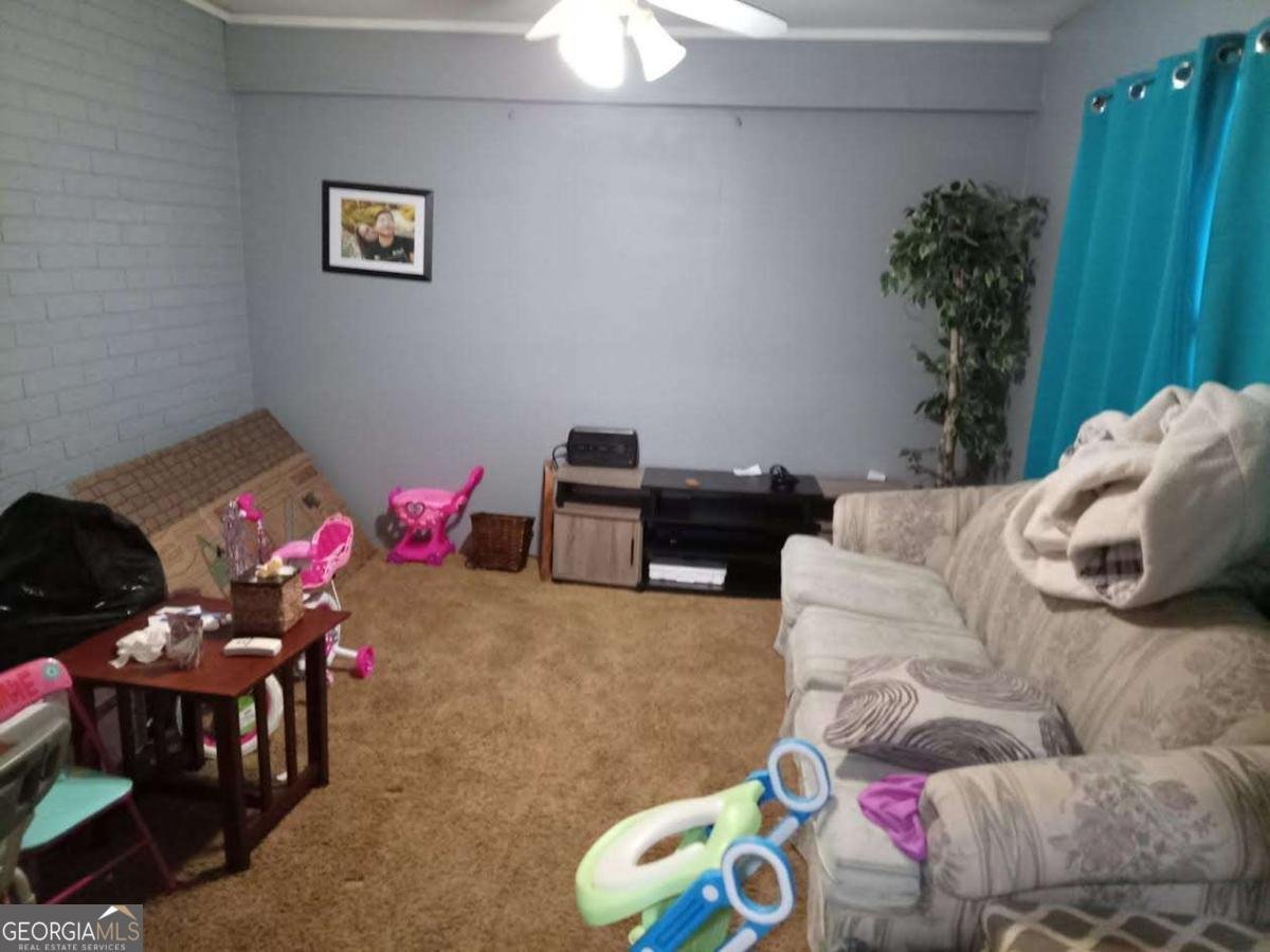 473 Dublin Highway Eastman - 17