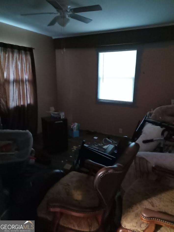 473 Dublin Highway Eastman - 7