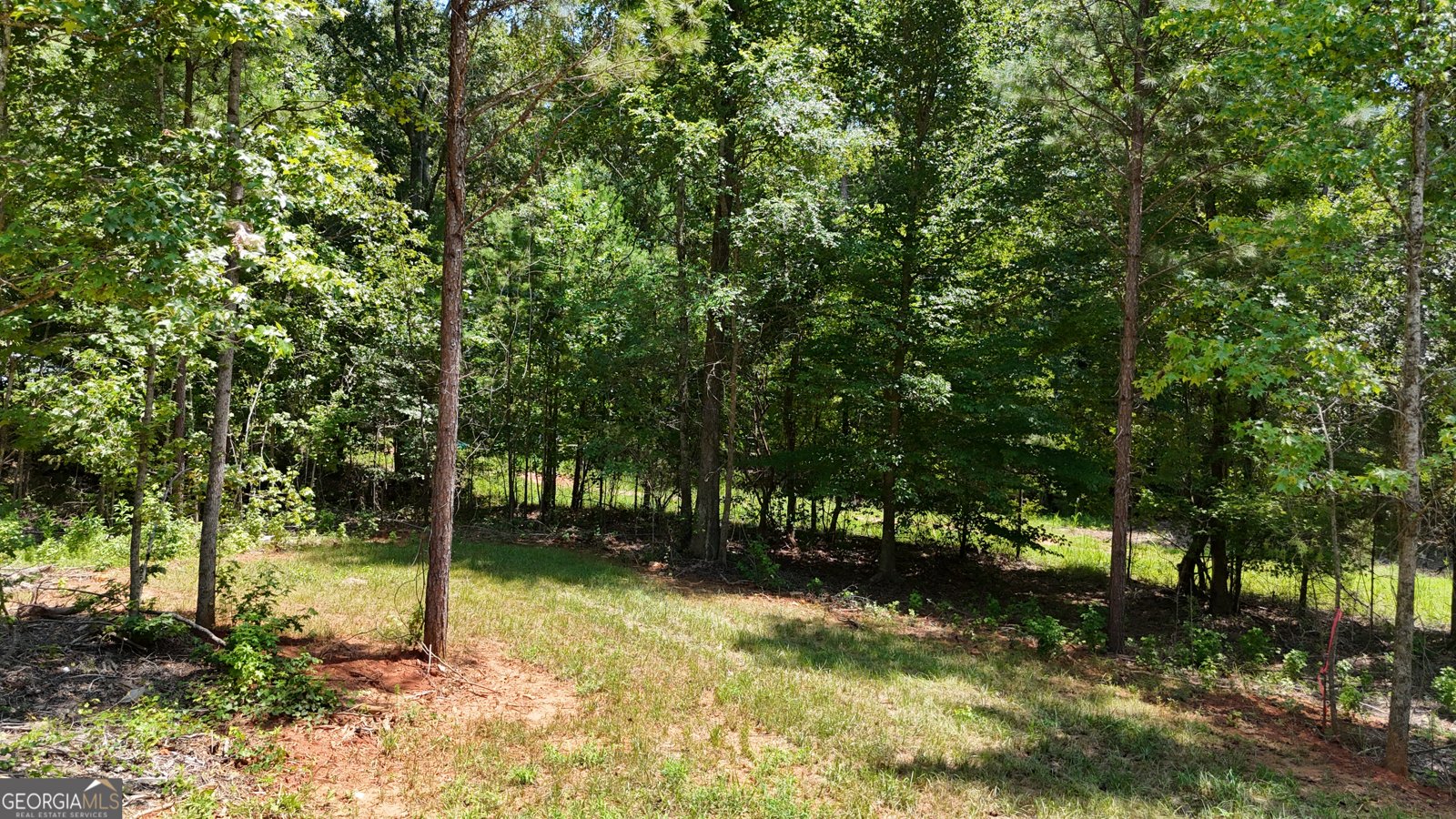 2126 Amberly Road Elberton - 59