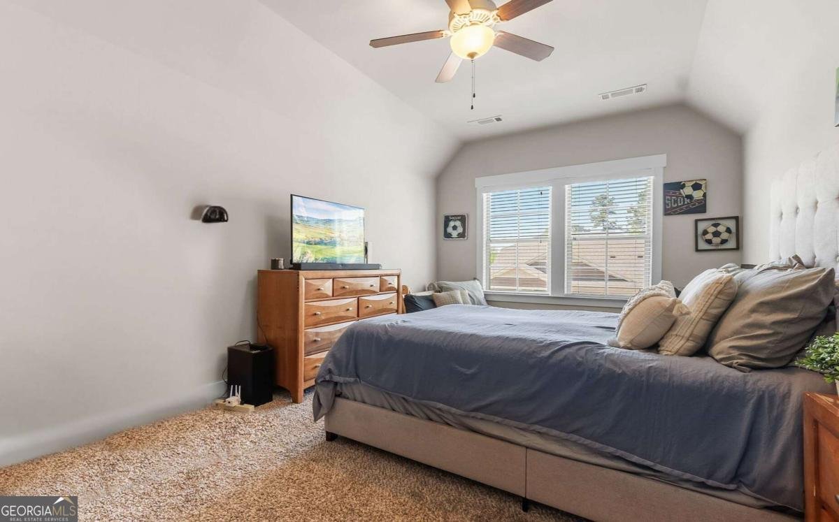 347 Woodridge Pass Canton - 10