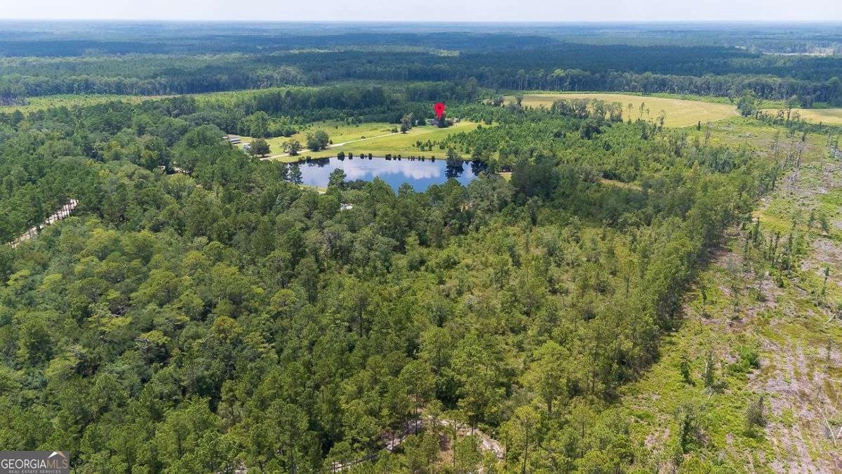 410 Newton Road Guyton - 5