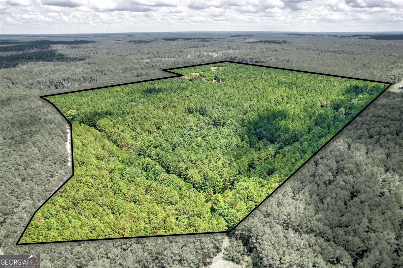 395 New Cut Road Edgefield - 32