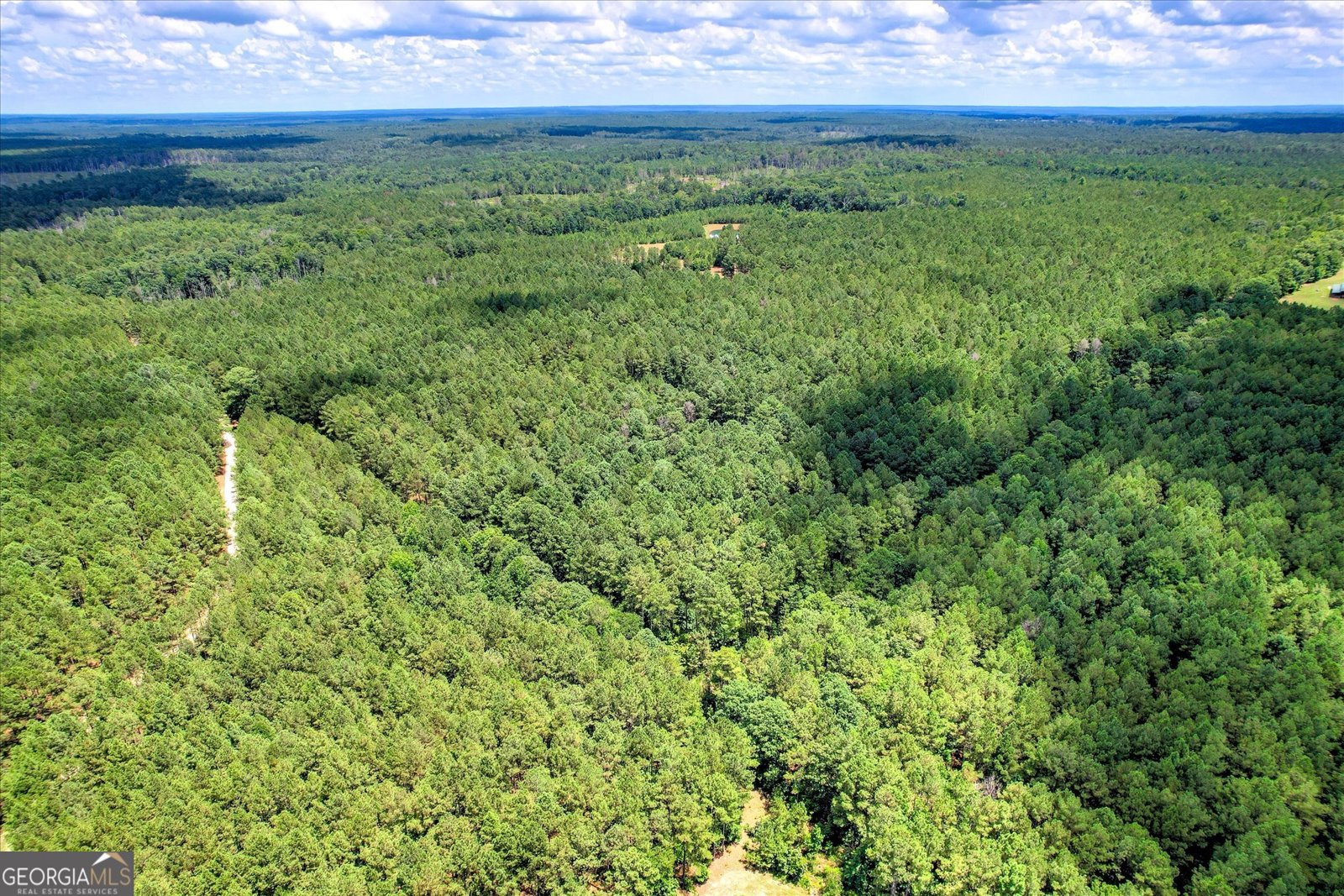 395 New Cut Road Edgefield - 37