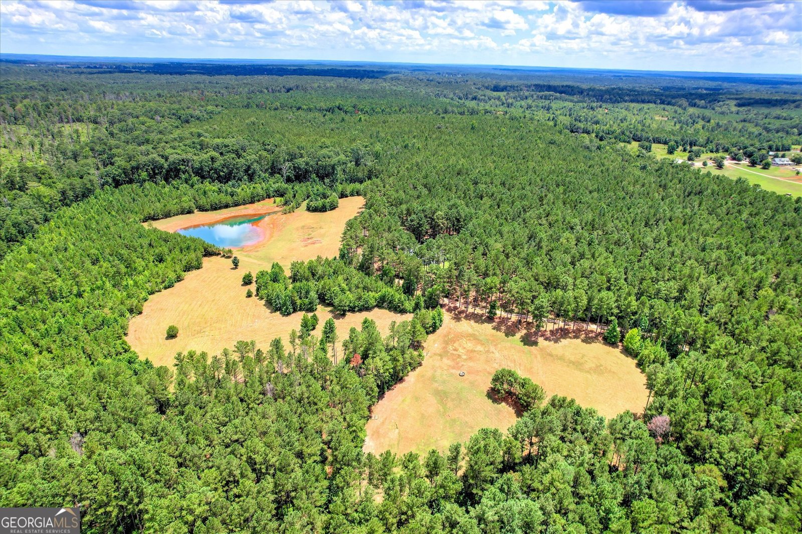 395 New Cut Road Edgefield - 38