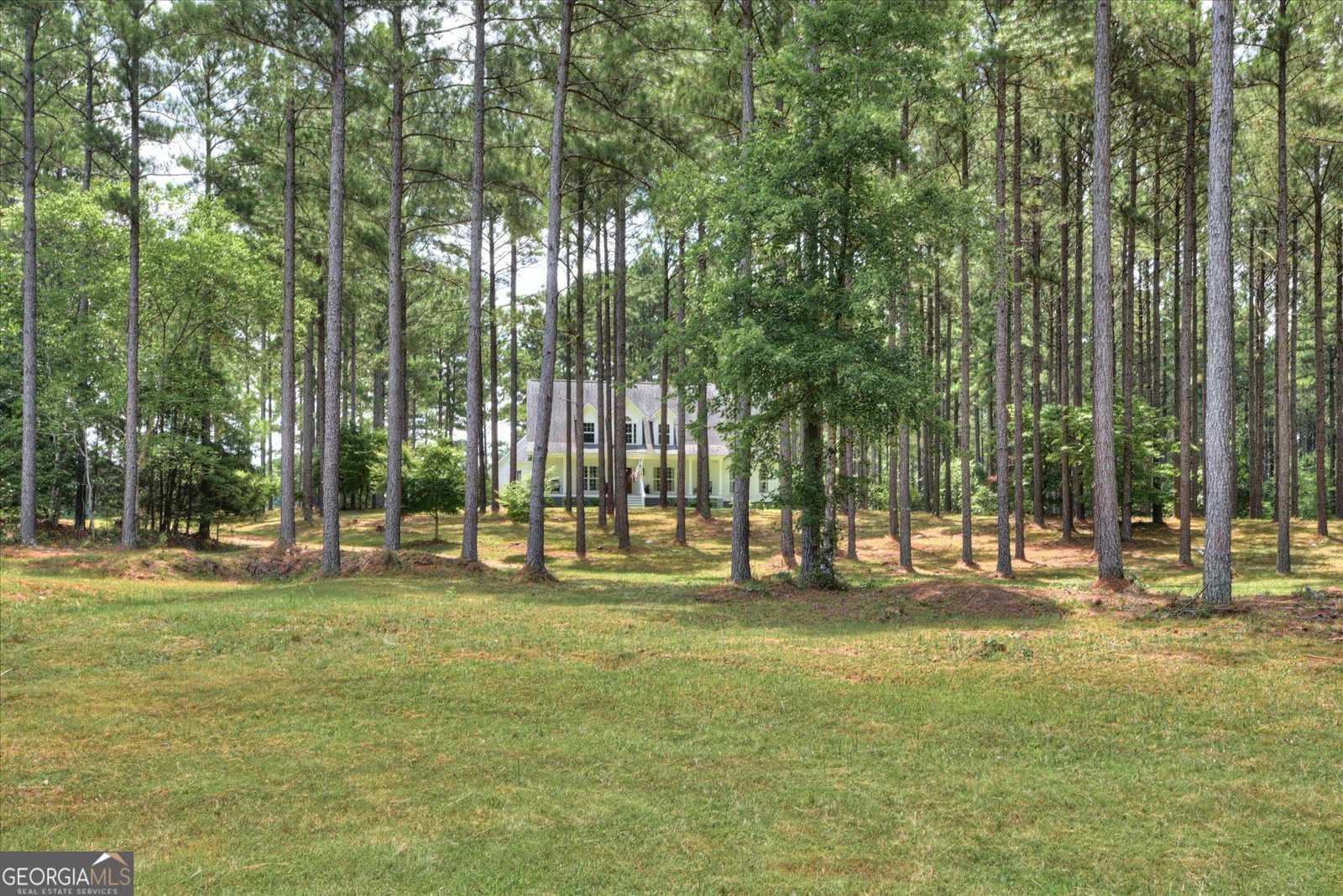 395 New Cut Road Edgefield - 39