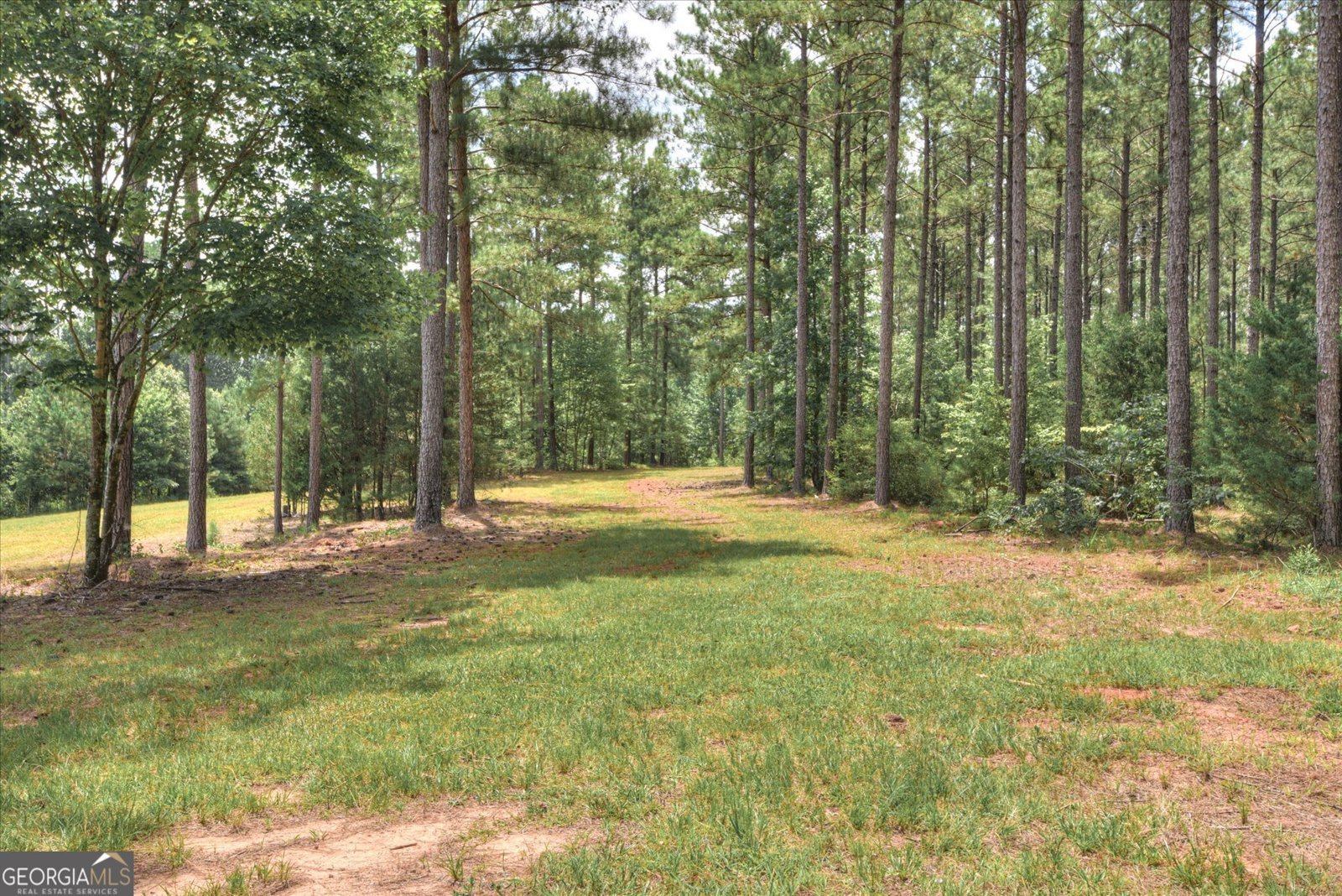 395 New Cut Road Edgefield - 47