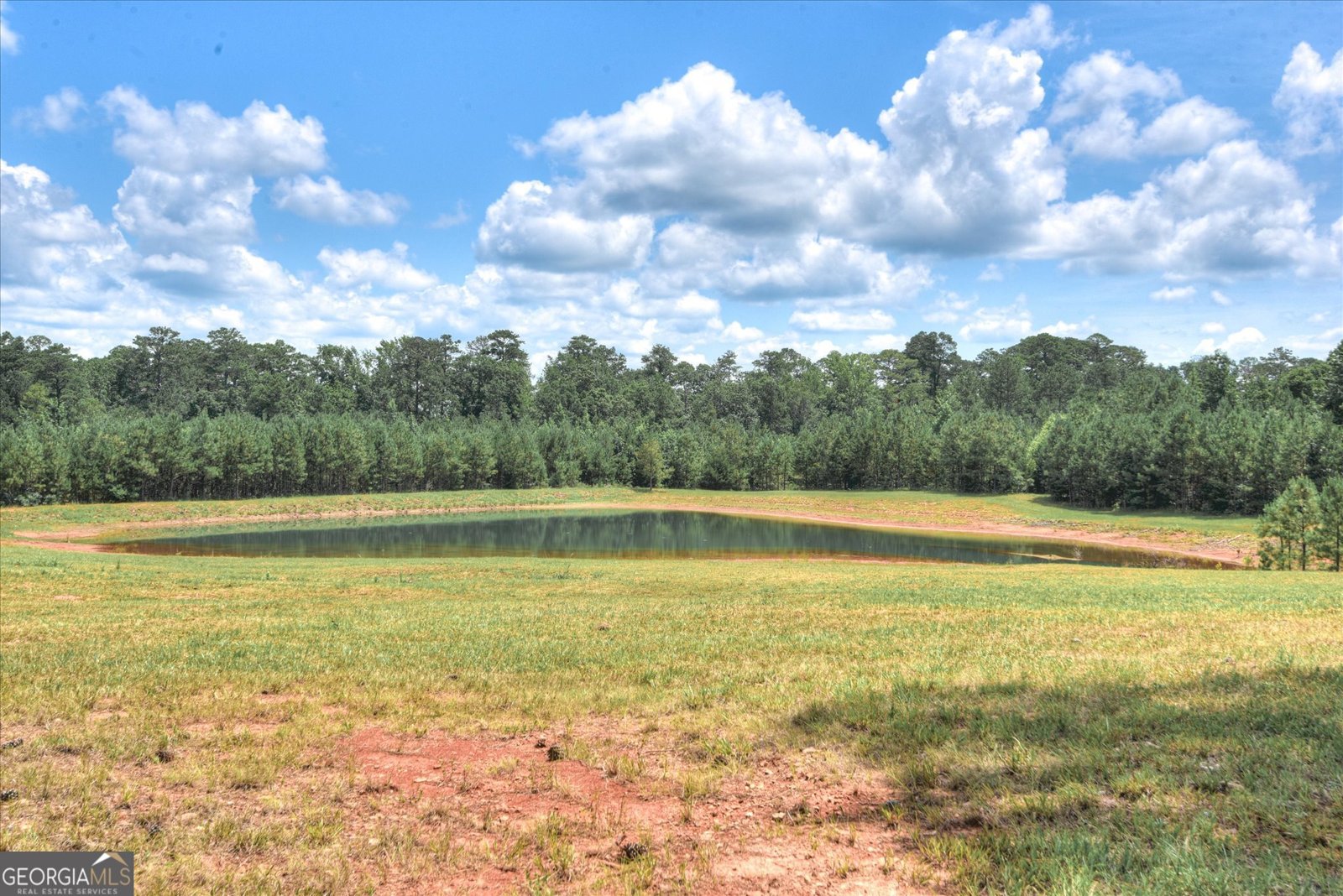 395 New Cut Road Edgefield - 48