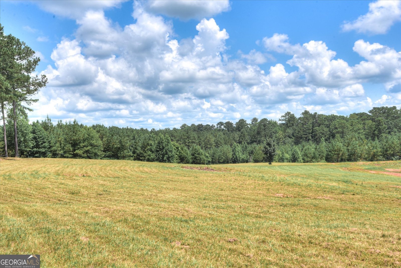 395 New Cut Road Edgefield - 49