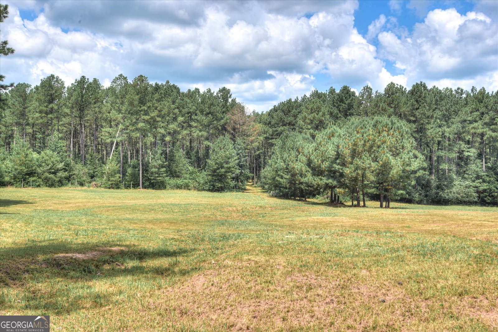 395 New Cut Road Edgefield - 50