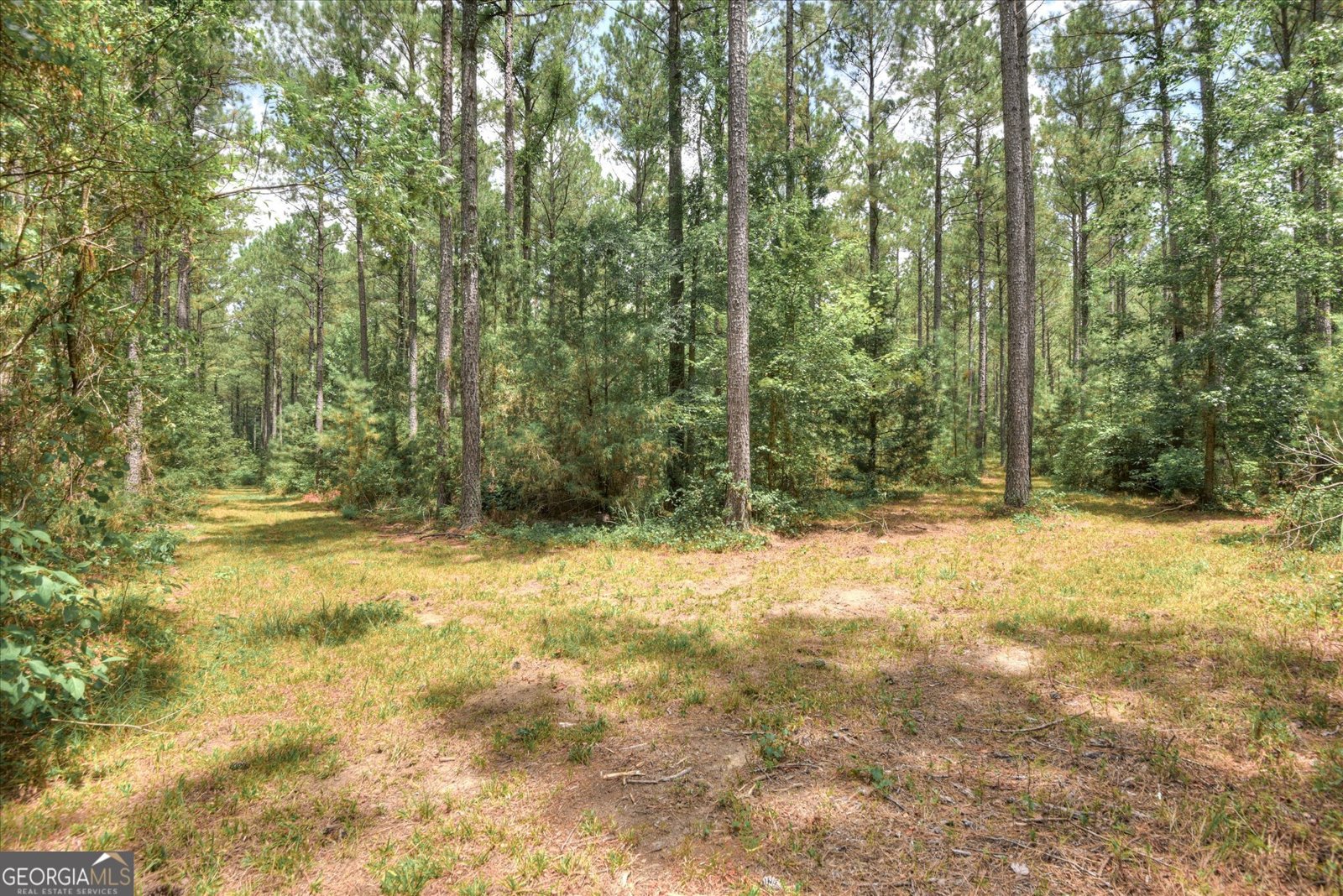 395 New Cut Road Edgefield - 51