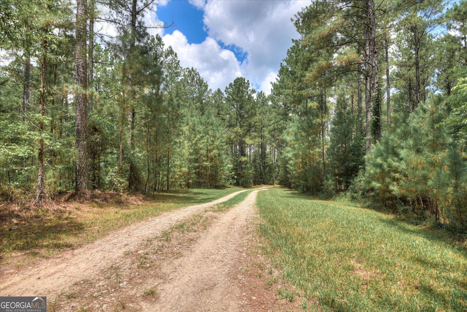 395 New Cut Road Edgefield - 52