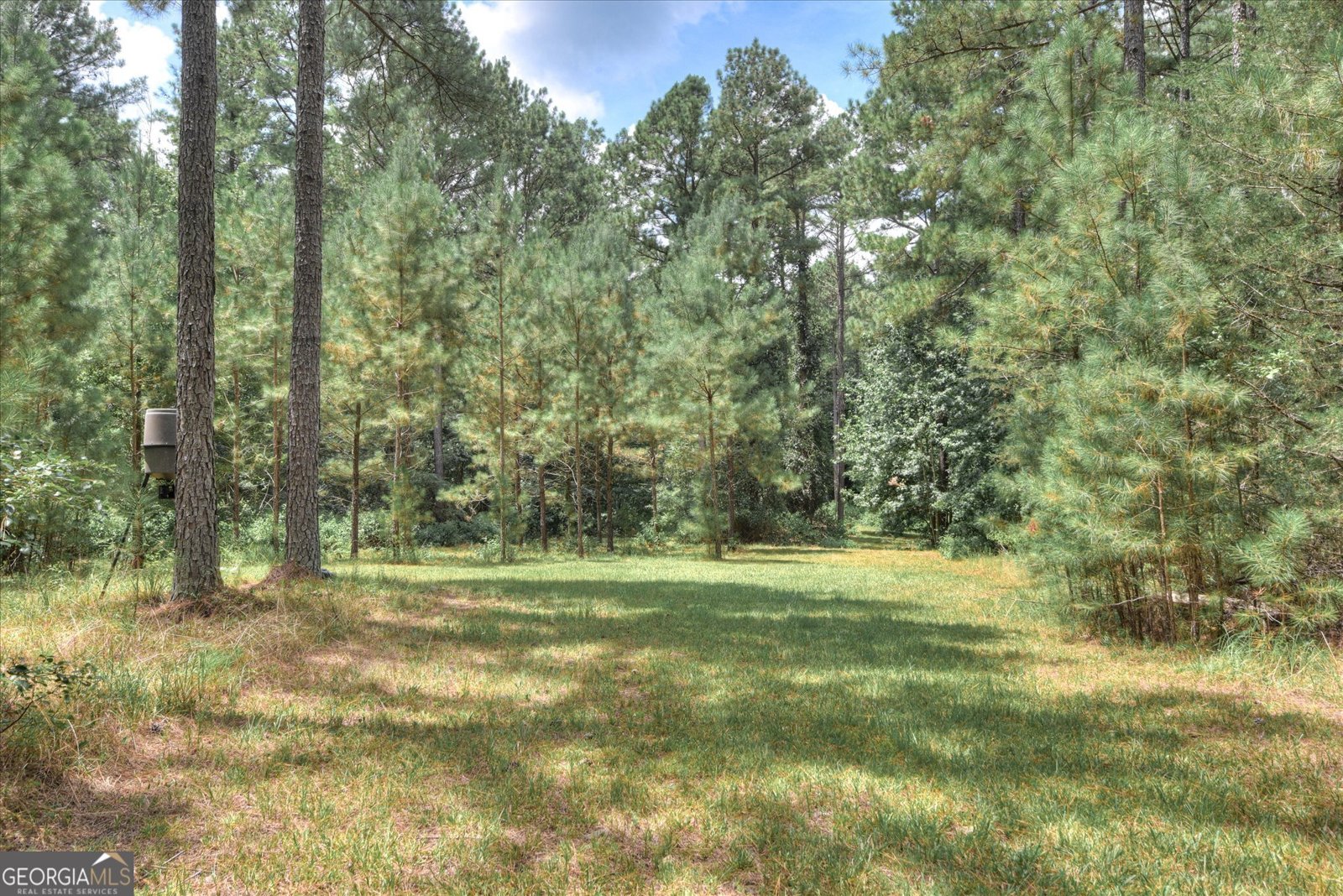 395 New Cut Road Edgefield - 53