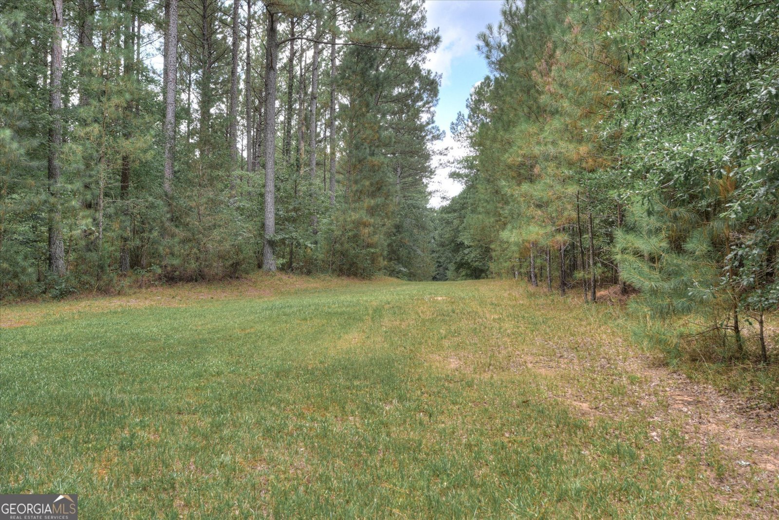 395 New Cut Road Edgefield - 54