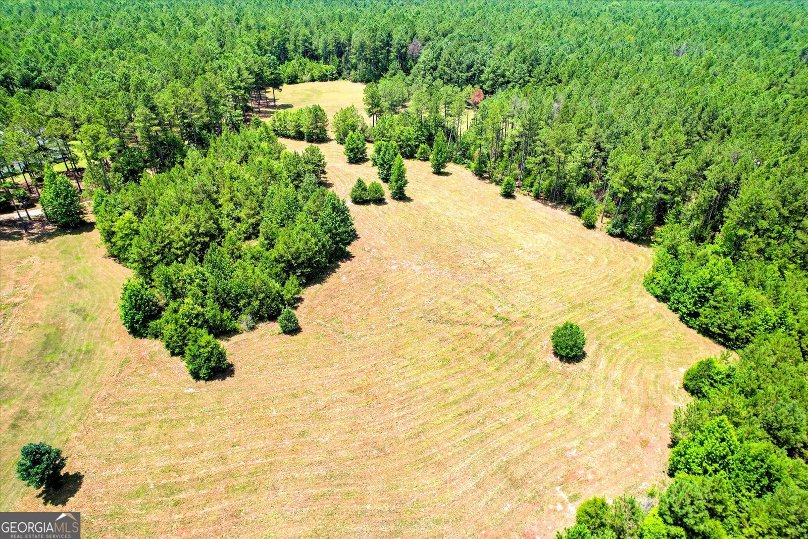 395 New Cut Road Edgefield - 56