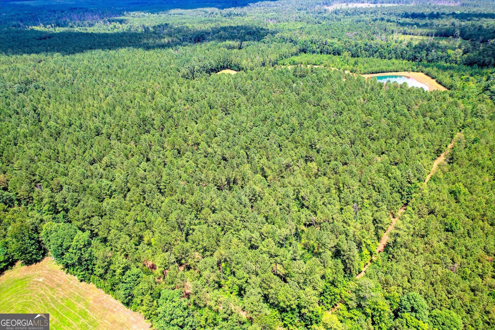 395 New Cut Road Edgefield - 57