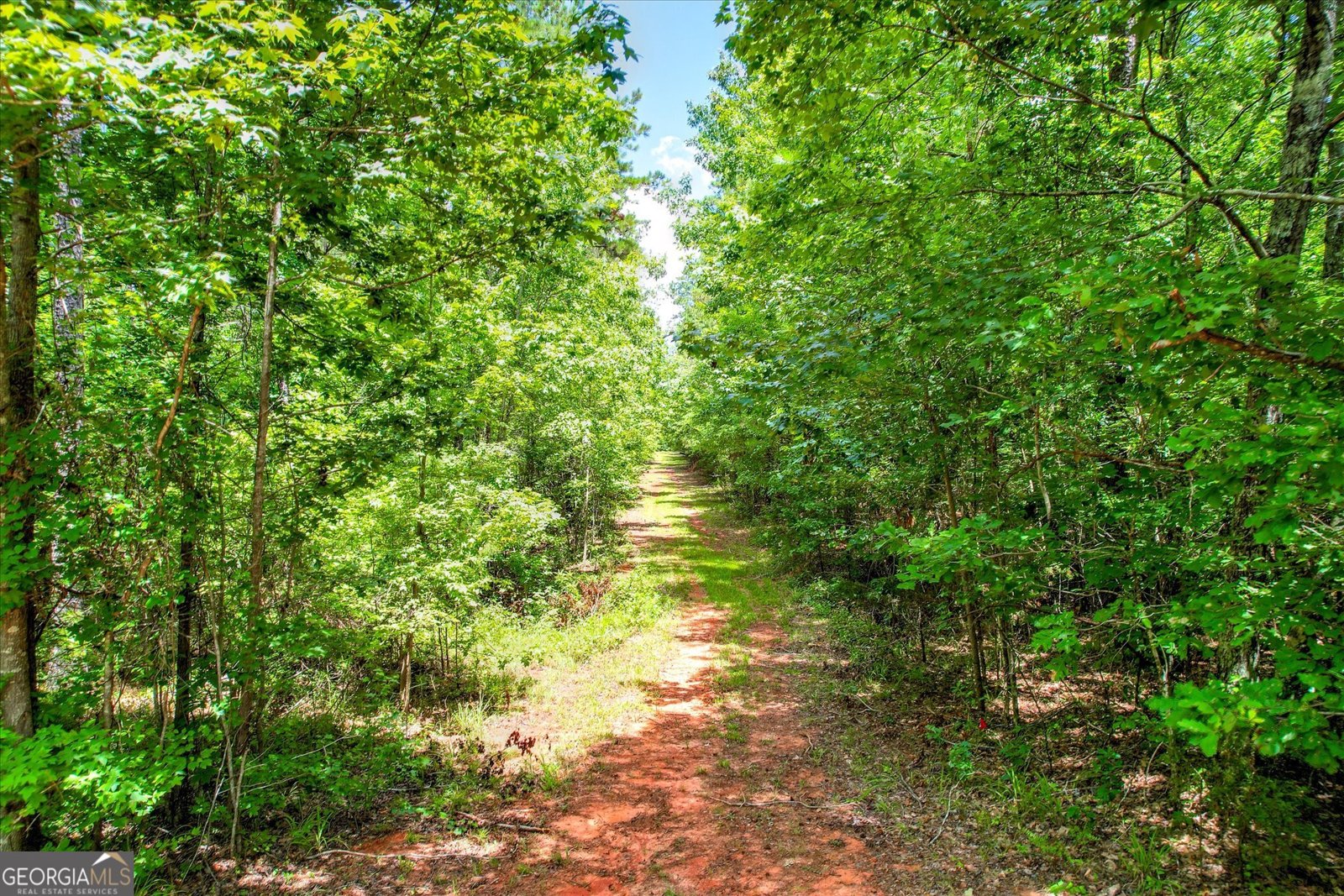 395 New Cut Road Edgefield - 58
