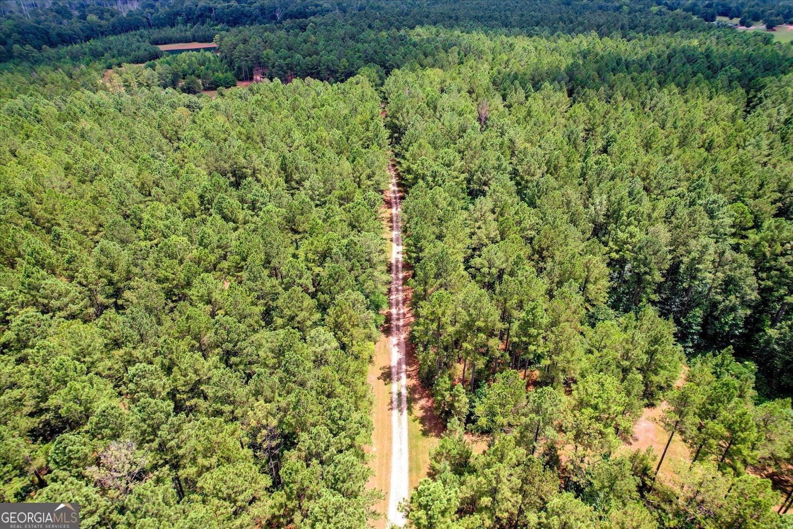 395 New Cut Road Edgefield - 59