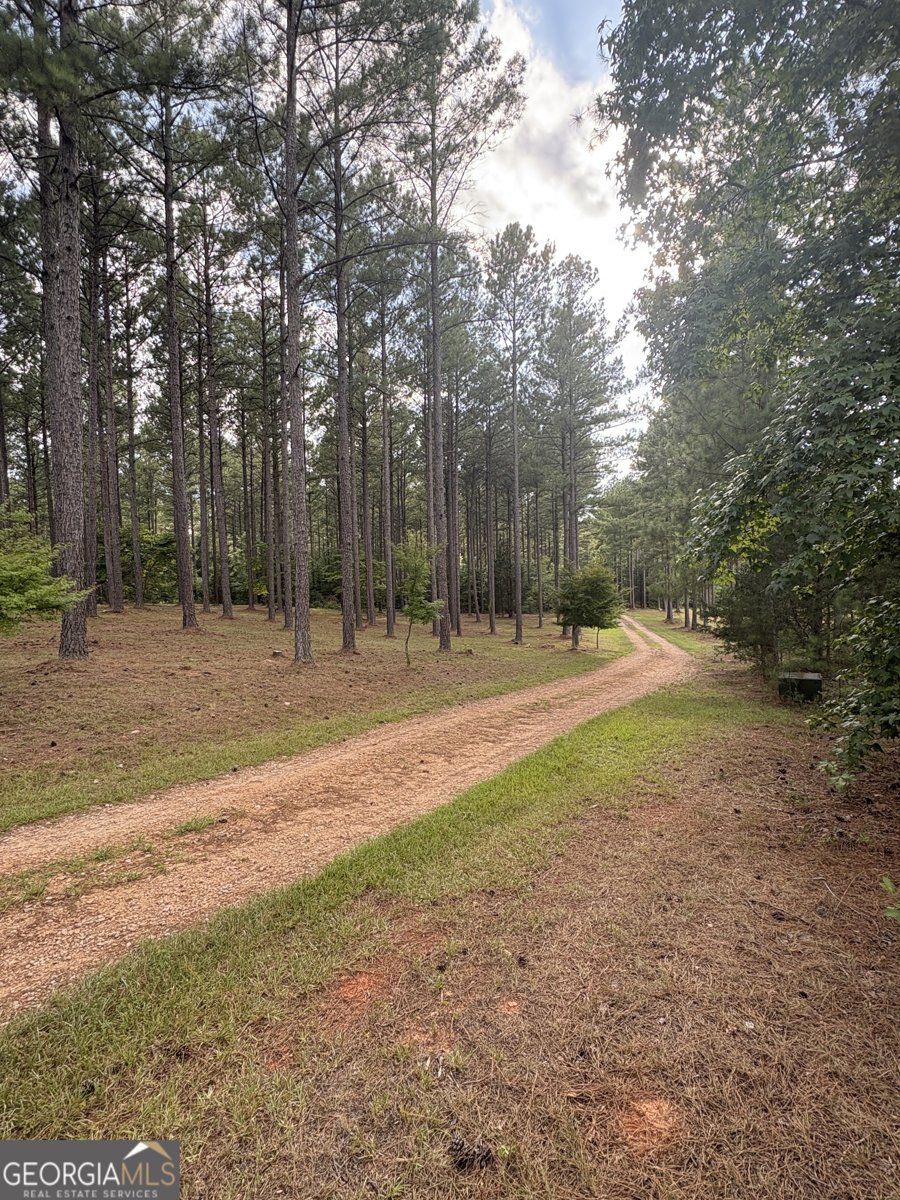 395 New Cut Road Edgefield - 60